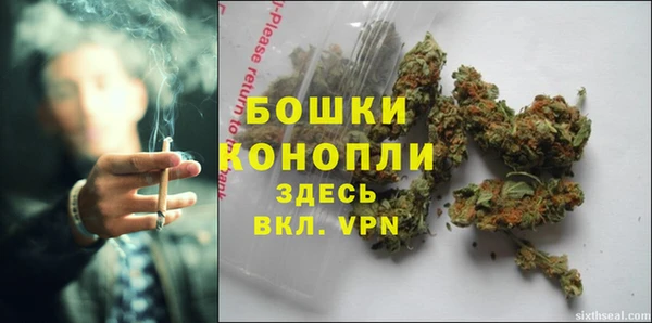дурь Бронницы