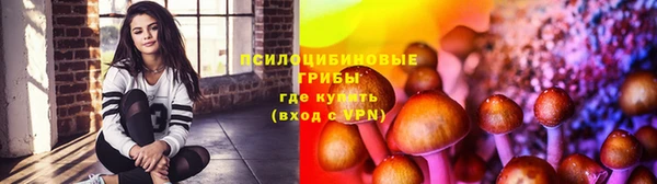дурь Бородино